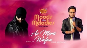 Ae Merii Wafaa
