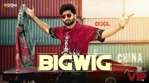 BigWig Lyrics - Shivjot