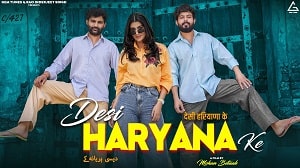 Desi Haryaane Ke Lyrics - Amit Dhull