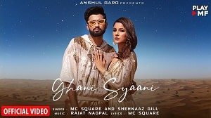 Ghani Syaani Lyrics - Mc Square