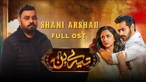 Tere Bin OST