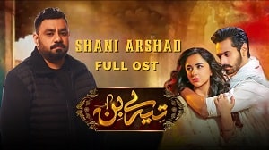 Tere Bin OST Lyrics - Shani Arshad