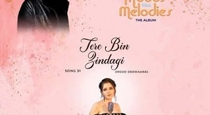 Tere Bin Zindagi Lyrics - Maanuni