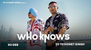 Who Knows Lyrics - Yo Yo Honey Singh