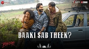 Baaki Sab Theek Lyrics - Bhediya