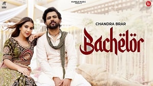 Bachelor