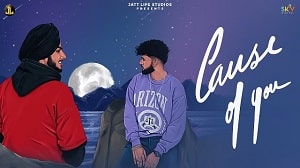 Cause Of You Lyrics - Zehr Vibe