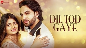 Dil Tod Gaye Lyrics - Raj Barman