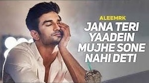 Jana Teri Yaadein Mujhe Sone Nahi Deti Lyrics - Aleemrk