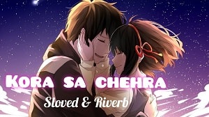 Kora Sa Chehra Lyrics - Arko