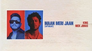 Maan Meri Jaan - Afterlife