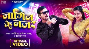 Nagin Ke Najar Lyrics - Arvind Akela Kallu