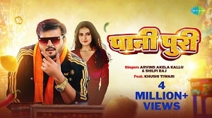 Paani Puri Lyrics - Arvind Akela Kallu
