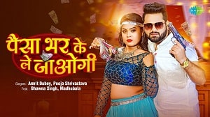 Paisa Bhar Ke Le Jaogi Lyrics - Amrit Dubey