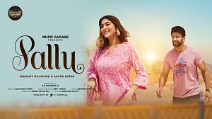 Pallu lyrics - Altmash Faridi