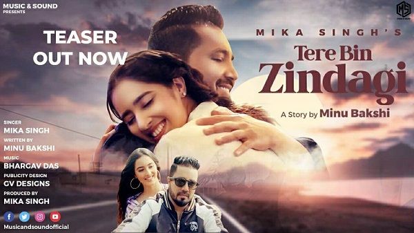 Tere Bin Zindagi