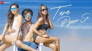 Tere Pyaar Se Lyrics - Altaaf Sayyed