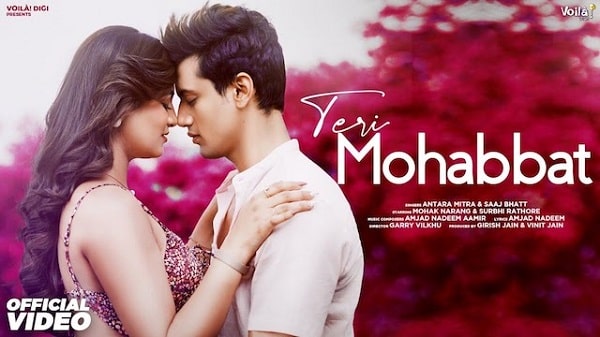 Teri Mohabbat Lyrics - Antara Mitra