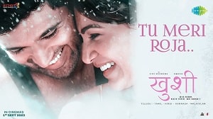 Tu Meri Roja Lyrics - Kushi