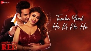 Tumhe Yaad Ho Ki Na Ho Lyrics - Fire of Love Red