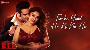 Tumhe Yaad Ho Ki Na Ho Lyrics - Fire of Love Red