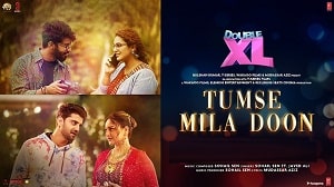 Tumse Mila Doon Lyrics - Double XL