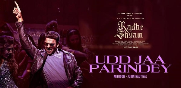 Udd Ja Parindey Lyrics - Radhe Shyam